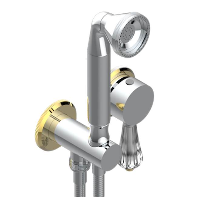 THG - Trim Only For Wall Mixer With Complete Handshower On Hook - Chrome Polished Gold Polished