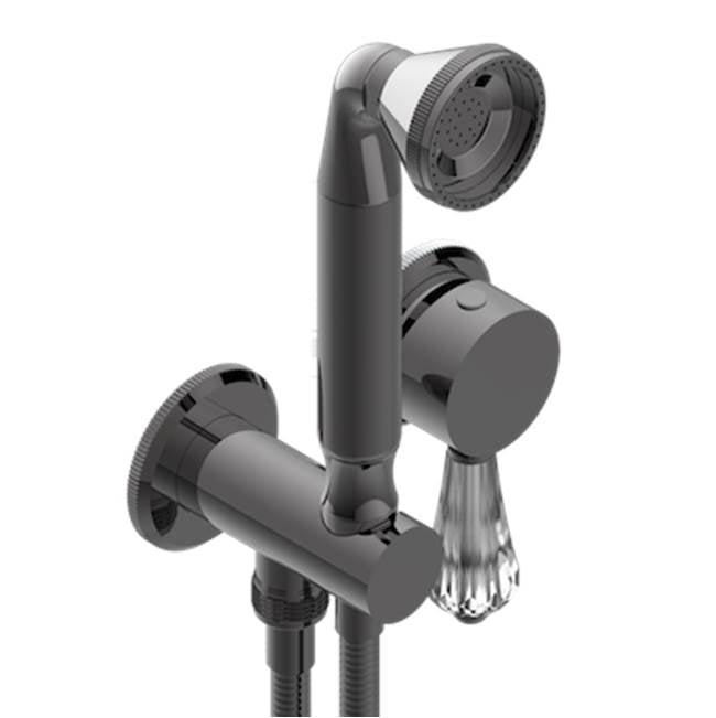 THG - Trim Only For Wall Mixer With Complete Handshower On Hook - Matt Graphite PVD