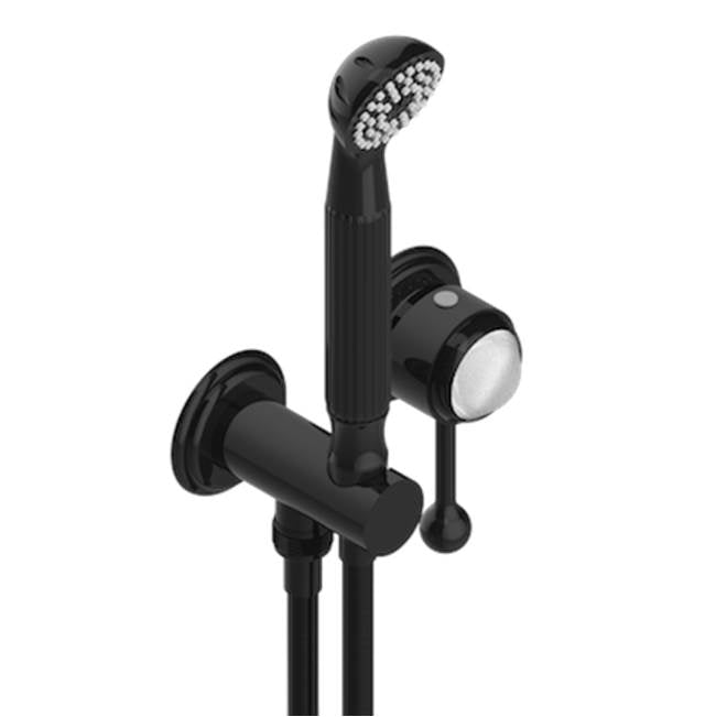 THG - Trim Only For Wall Mixer With Complete Handshower On Hook - Brown Bronze Color PVD
