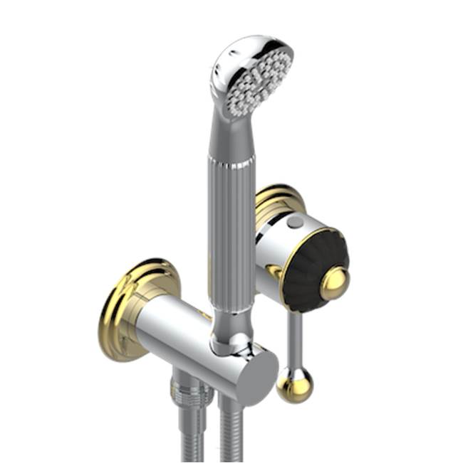 THG - Trim Only For Wall Mixer With Complete Handshower On Hook - Chrome Polished Gold Polished