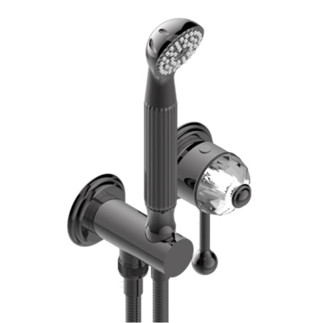 THG - Trim Only For Wall Mixer With Complete Handshower On Hook - Matt Graphite PVD