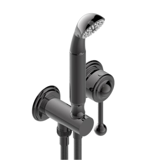 THG - Trim Only For Wall Mixer With Complete Handshower On Hook - Matt Graphite PVD