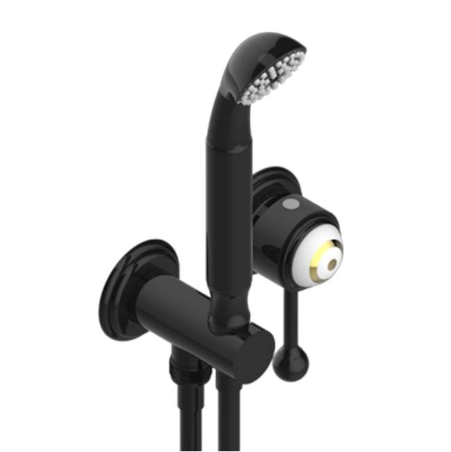 THG - Trim Only For Wall Mixer With Complete Handshower On Hook - Brown Bronze Color PVD
