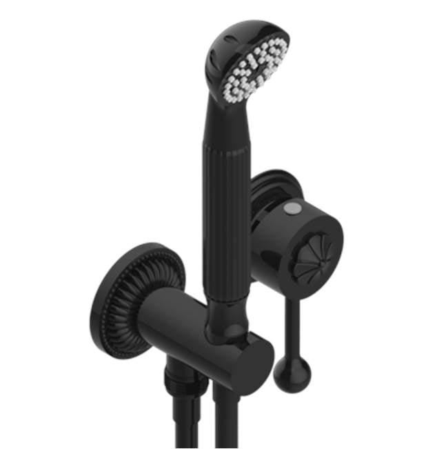 THG - Trim Only For Wall Mixer With Complete Handshower On Hook - Brown Bronze Color PVD