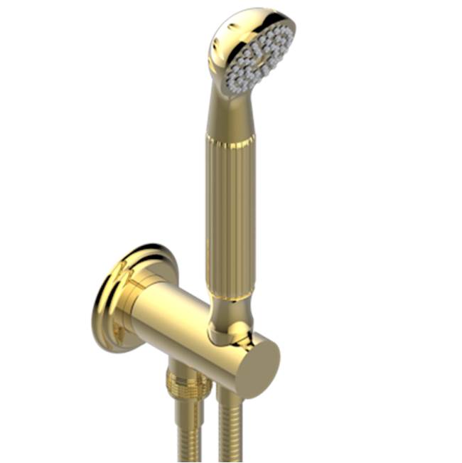 THG - Wall Mounted Handshower With Integrated Fixed Hook - Gold Polished