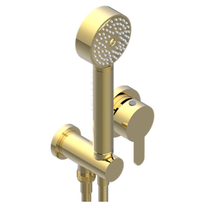 THG - Trim Only For Wall Mixer With Complete Handshower On Hook - Gold Polished