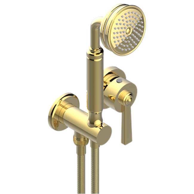 THG - Trim Only For Wall Mixer With Complete Handshower On Hook - Gold Polished