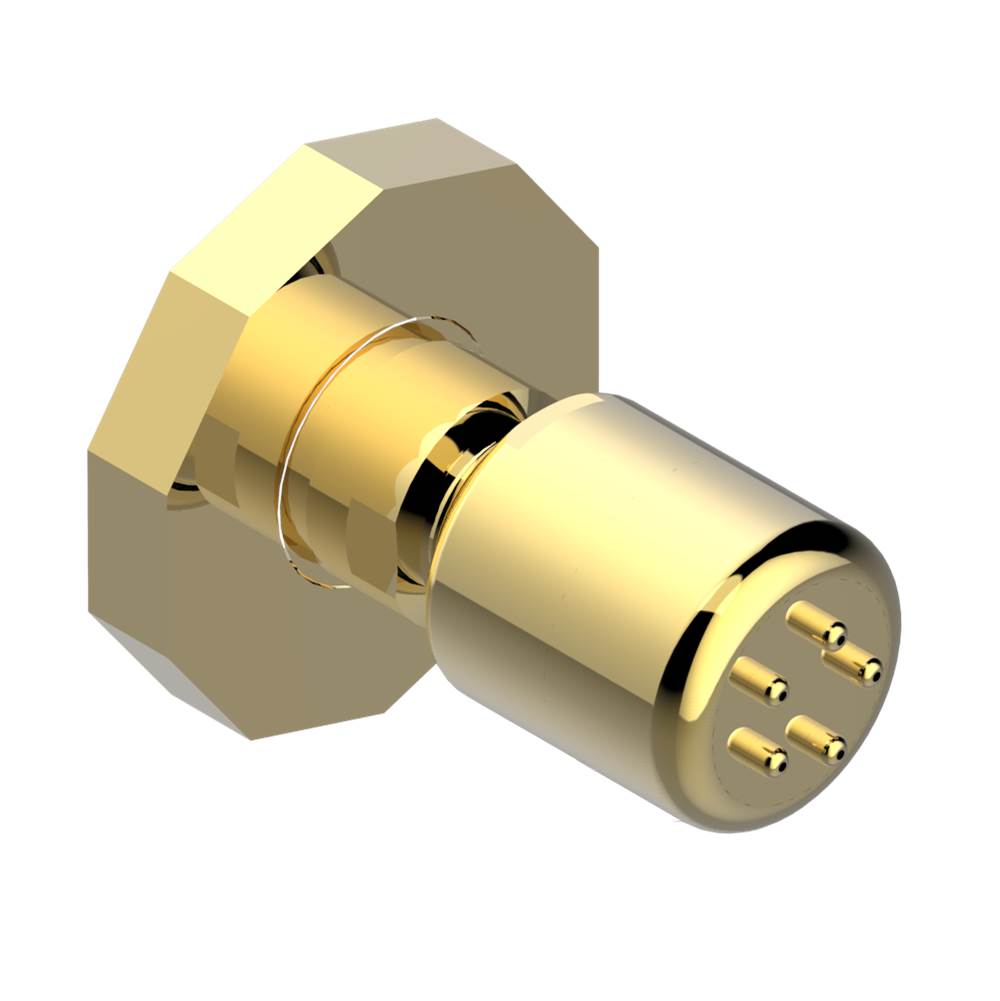 THG - Body spray 1/2'' with Easyclean system - Gold Color PVD