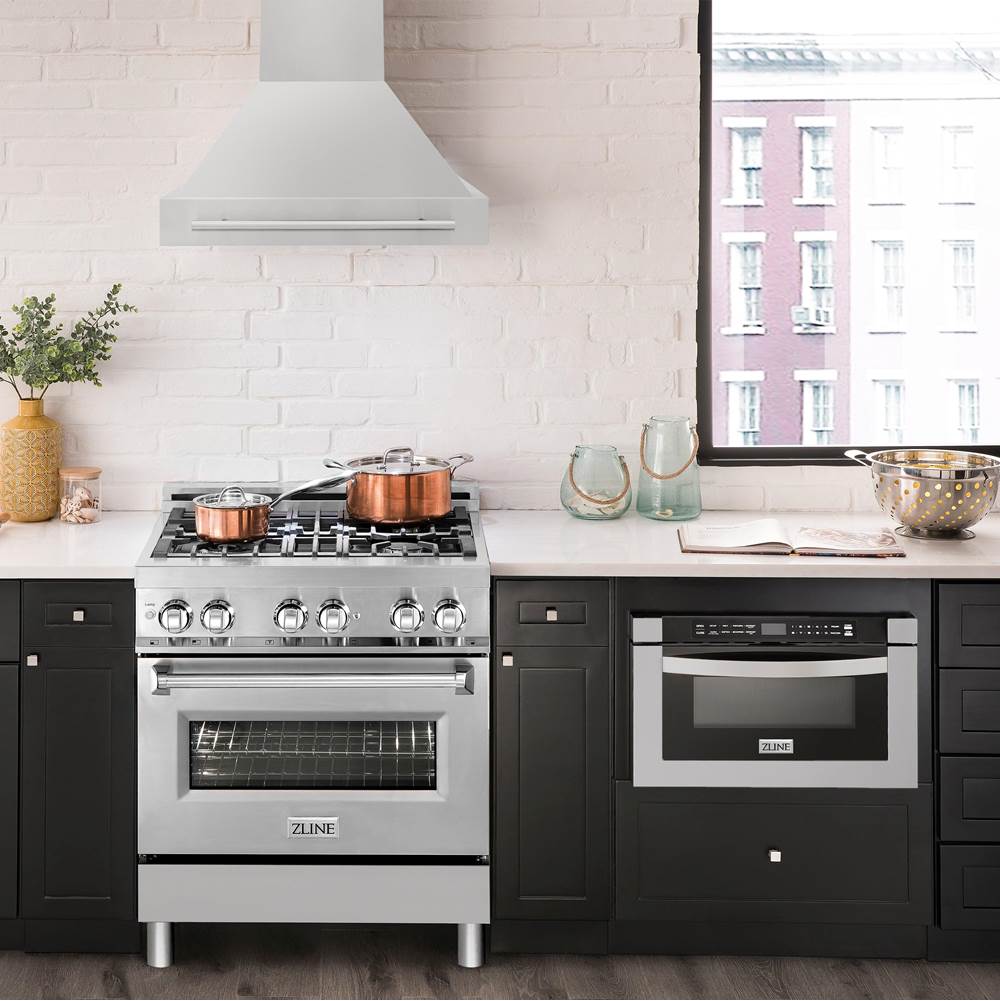 30'' Stainless Steel Range Hood with Colored Shell and Stainless Steel Handle