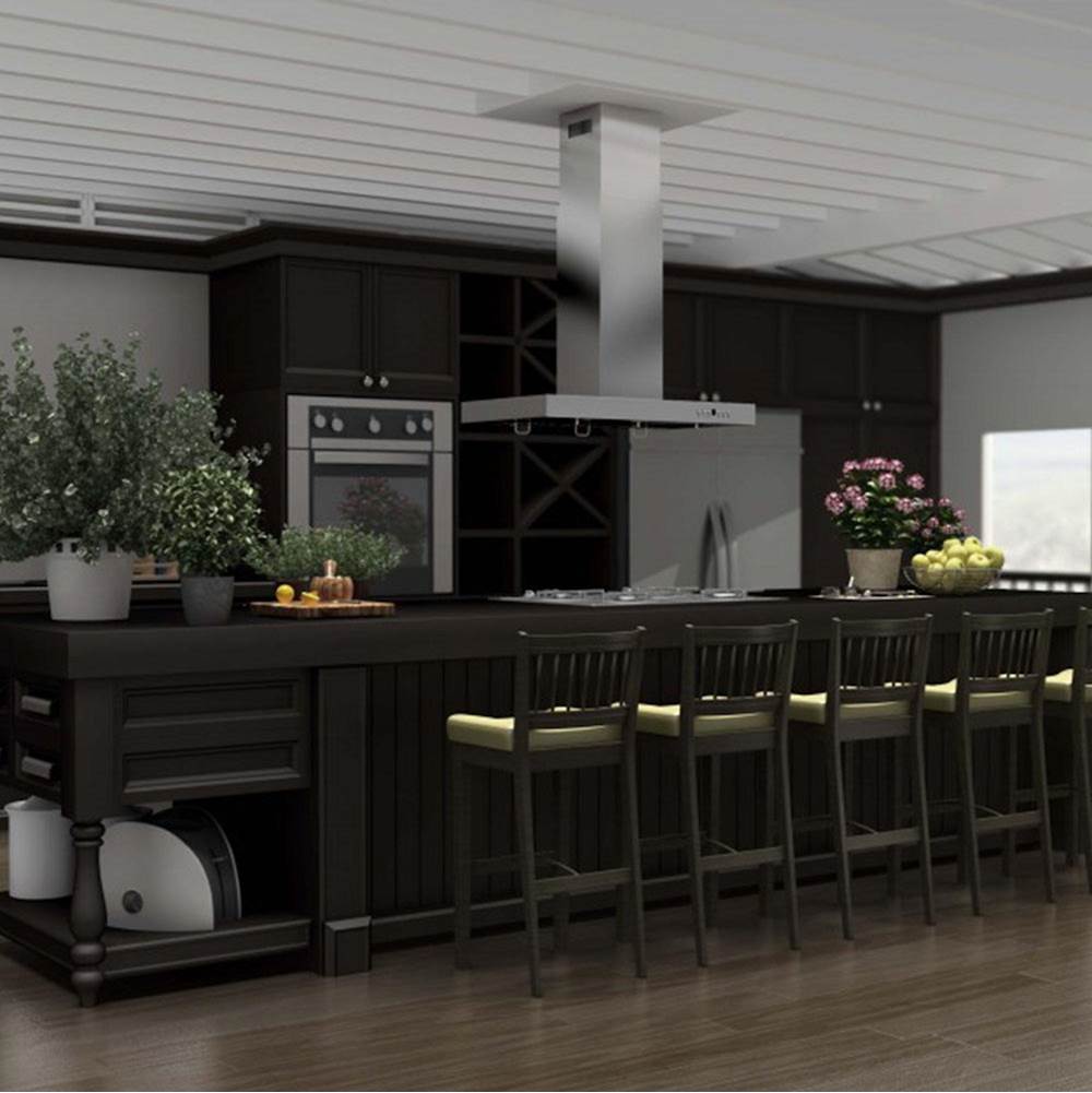 48'' Island Mount Range Hood in Stainless Steel