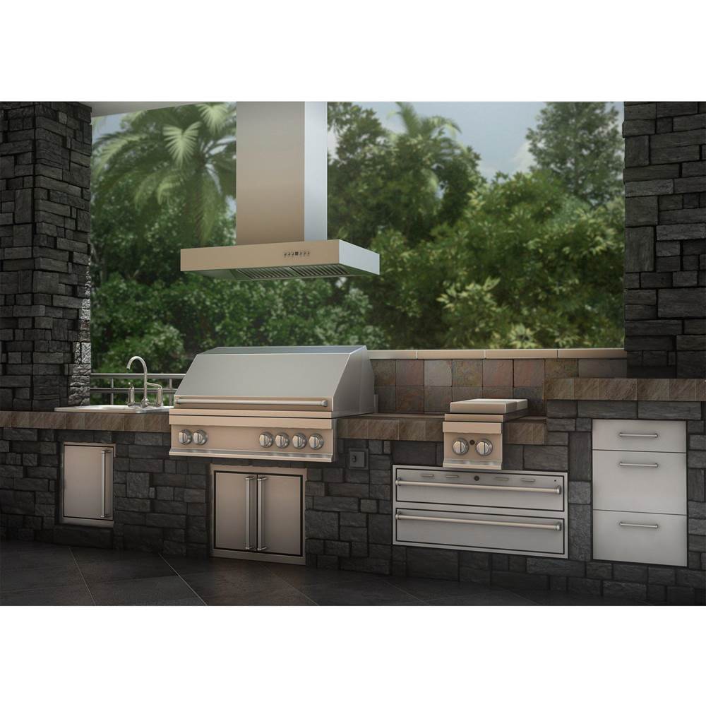 48'' Outdoor Island Mount Range Hood in Stainless Steel