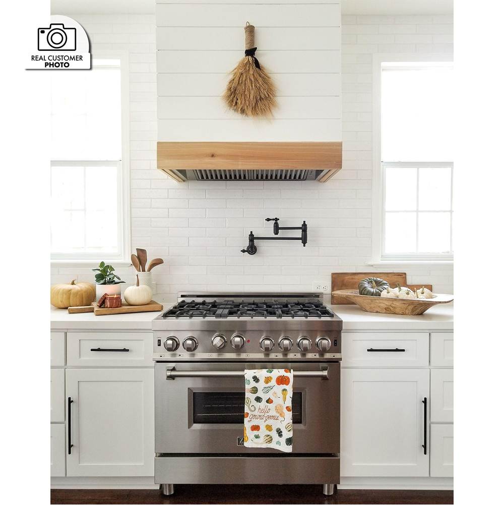 46'' Outdoor Range Hood Insert in Stainless Steel