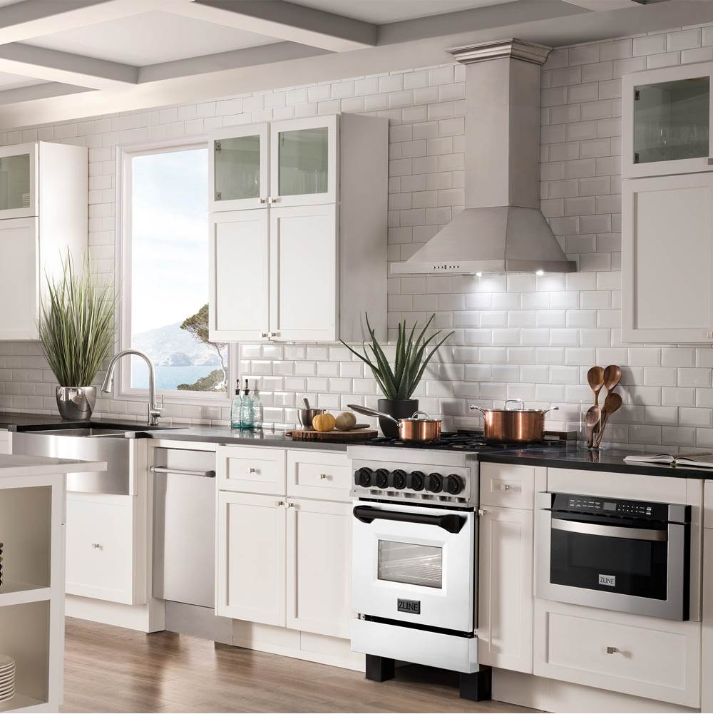 Autograph Edition 24'' 2.8 cu.' Dual Fuel Range with Gas Stove and Electric Oven in Stainless Steel with White Matte Door and CB Accents