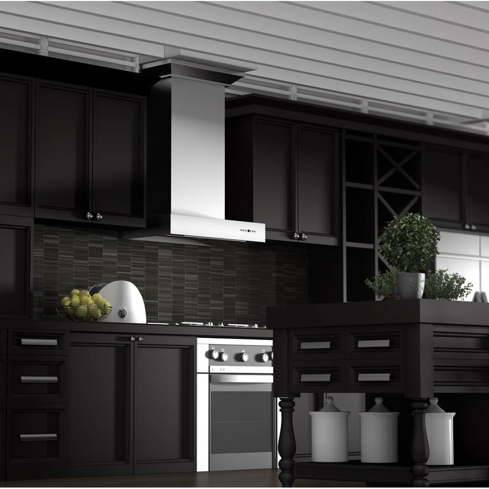 48'' Professional Wall Mount Range Hood in Stainless Steel