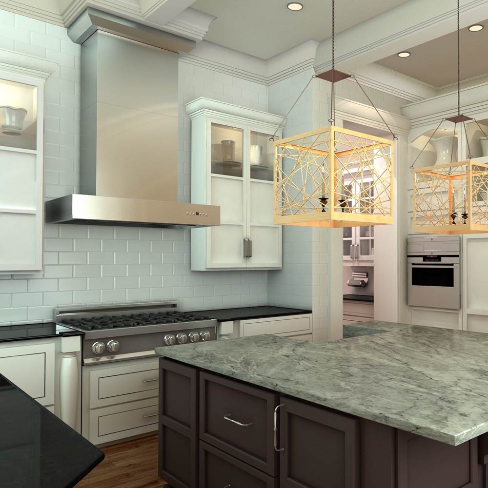 48'' Professional Wall Mount Range Hood in Stainless Steel