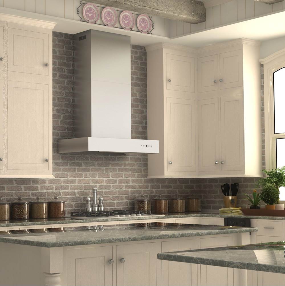 48'' Professional Wall Mount Range Hood in Stainless Steel