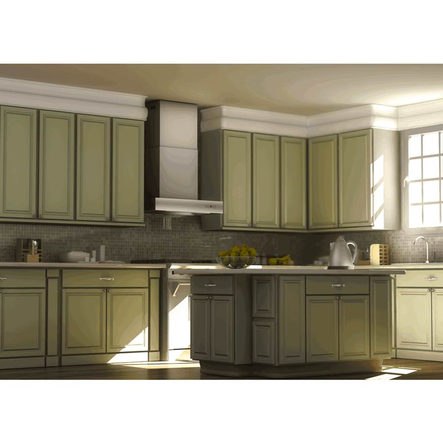48'' Professional Wall Mount Range Hood in Stainless Steel