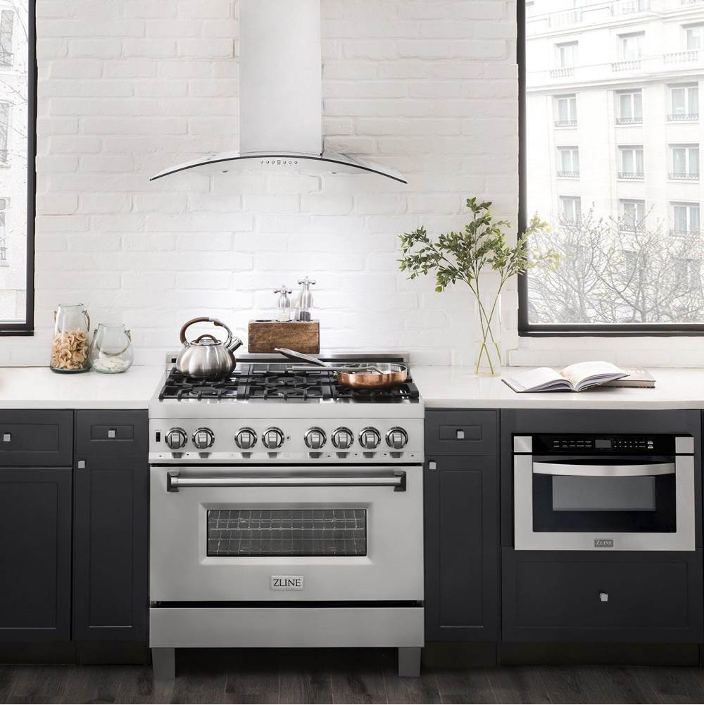 48'' Wall Mount Range Hood in Stainless Steel & Glass