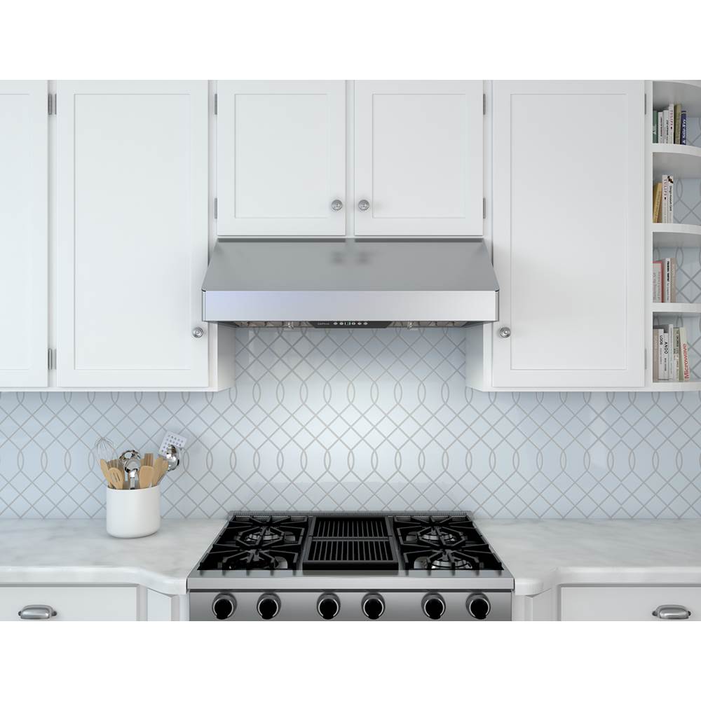 Tempest I, 11in UC, 30in, SS, LED, ACT