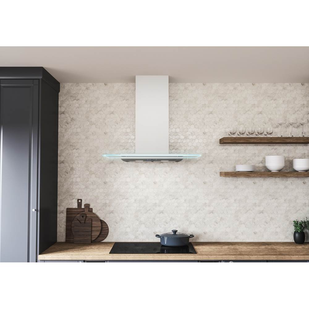 Verona, Wall, 30in, SS and Glass, LED, ACT