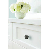 Caliber Knob