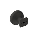 Surpass Knob