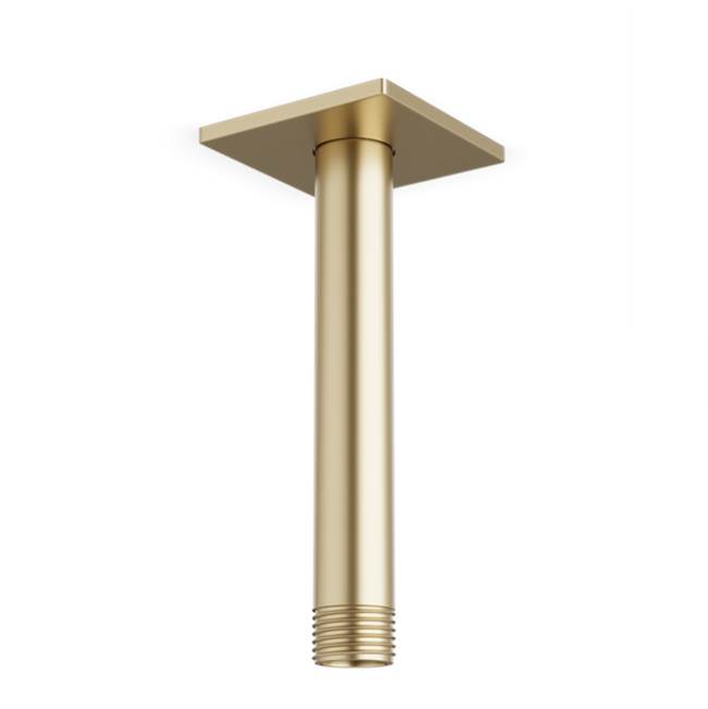 Artos - Ceiling Mount 4.75'' Shower Arm R+S Escutcheon, Satin Brass