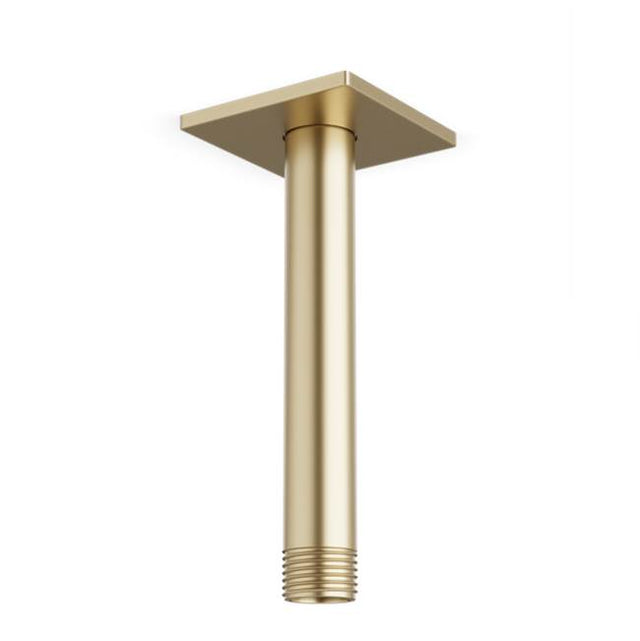 Artos - Ceiling Mount 4.75'' Shower Arm R+S Escutcheon, Satin Brass