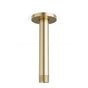 Artos - Round 4.75'' Shower Arm Ceiling Mounted Satin Brass