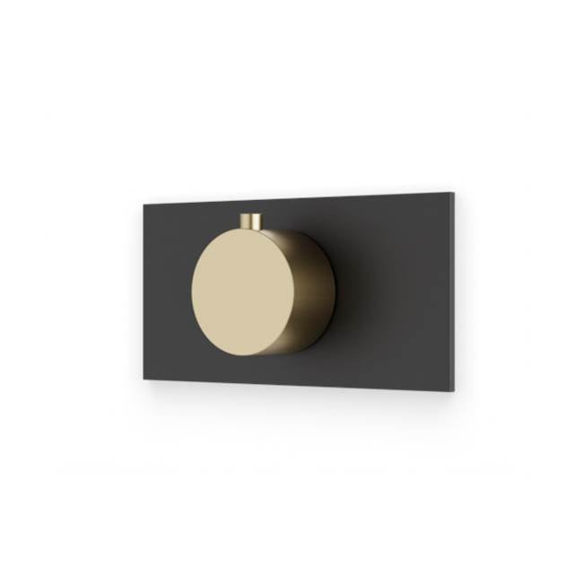 Artos - Square & Round Thermostat Trim Kit with Letterbox Plate Satin Brass/Matte Black