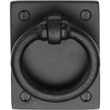 Ashley Norton - Drop Pull on Plate - Black