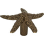 Atlas - Starfish Knob 2 Inch Burnished Bronze - Burnished Bronze