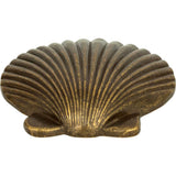 Atlas - Clamshell Knob 2 Inch Burnished Bronze - Burnished Bronze