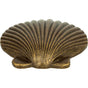 Atlas - Clamshell Knob 2 Inch Burnished Bronze - Burnished Bronze