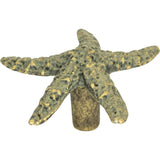 Atlas - Starfish Knob 2 Inch Verdigris - Verdigris
