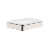 Axor - AXOR Universal SoftSquare Soap Dish in Brushed Nickel - Brushed Nickel