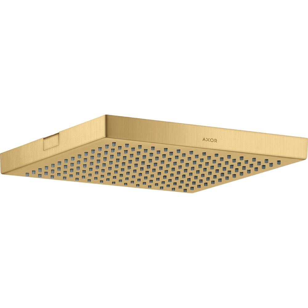 Axor - AXOR ShowerSolutions Showerhead 240 1-Jet, 2.5 GPM in Brushed Gold Optic - Brushed Gold Optic