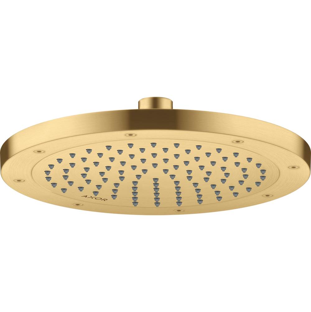 Axor - AXOR ShowerSolutions Showerhead 245 1-Jet, 1.75 GPM in Brushed Gold Optic - Brushed Gold Optic