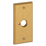 Baldwin - R053 PRIV ROSE PAIR 044 - Liefetime Satin Brass