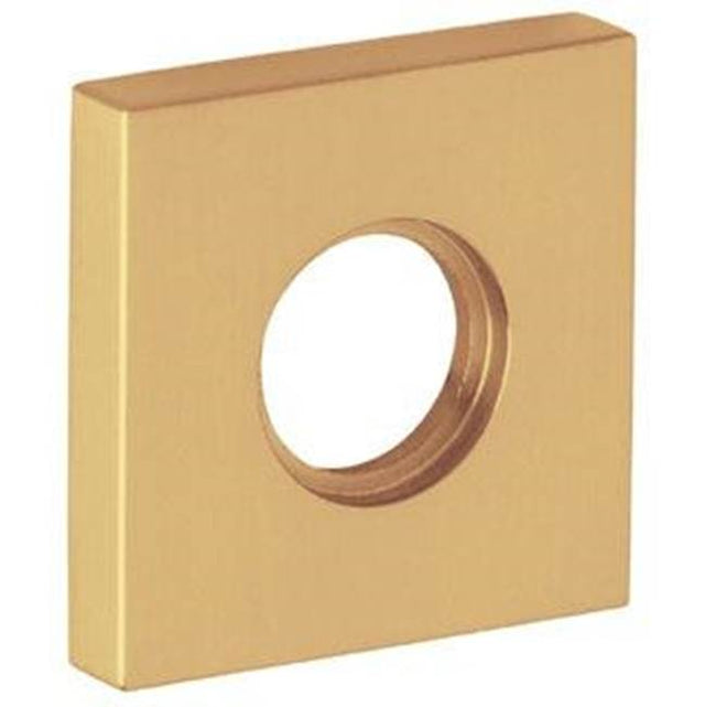 Baldwin - 5056 HALF DMY SQUARE ROS - Lifetime Polished Brass