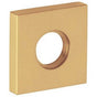 Baldwin - 5056 HALF DMY SQUARE ROS - Lifetime Polished Brass