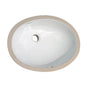 Barclay - Rosa 500 Undercounter, Dbl Glzd, 19-1/2X16-3/8, White - White