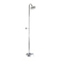 Barclay - Diveter Faucet, Sunflower Head , CI Tubs, Polished Chrome - Polished Chrome