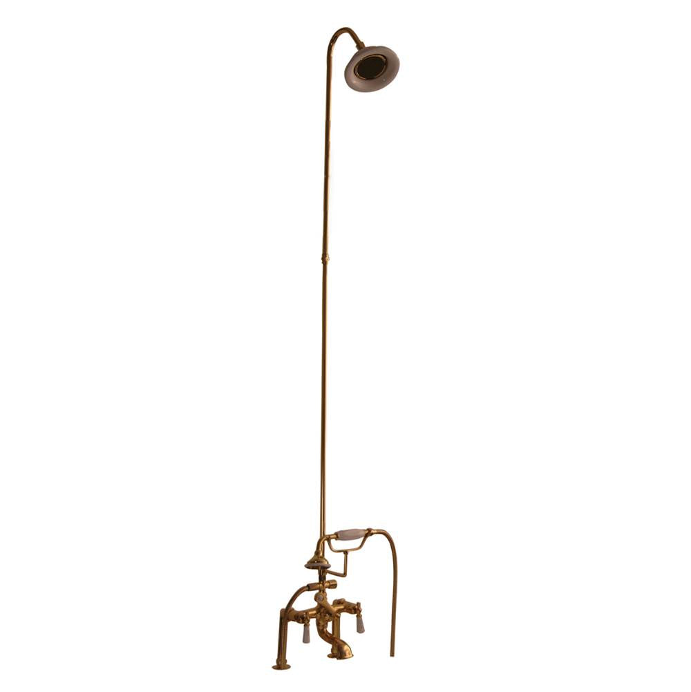 Barclay - Elephant Spout, Riser, Shower head, Lvr Hdle, Polished Brass - Polished Brass
