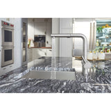 Linus Low Arc Pull-Out Dual-Spray Kitchen Faucet - Chrome