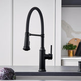 Empressa Semi-Pro Pull-Down Dual-Spray Kitchen Faucet - Chrome