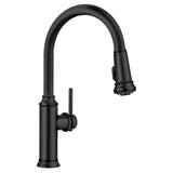 Blanco - Empressa High Arc Pull-Down Dual-Spray Kitchen Faucet - Matte Black - Matte Black