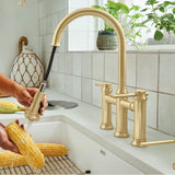 Empressa Pull-Down Dual-Spray Bridge Faucet - Chrome