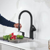 Rivana High-Arc Pull-Down Dual-Spray Kitchen Faucet - Chrome