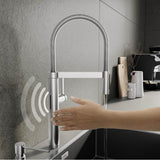 Culina II 1.5 GPM - Satin Platinum